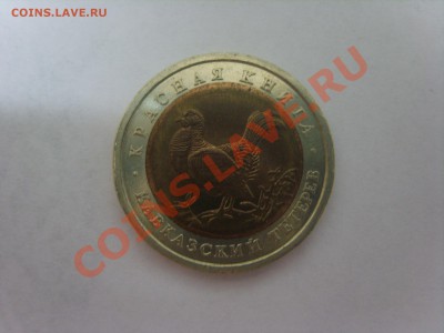 К.книга. Тетерев.1993г.до 02.04.12. до 22.00 - S8301935.JPG