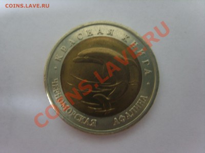 К.книга. Аист. 1993г.до 02.04.12. до 22.00 - S8301939.JPG