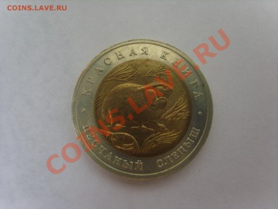 К.книга. Слепыш.1994г.до 02.04.12. до 22.00 - S8301942.JPG