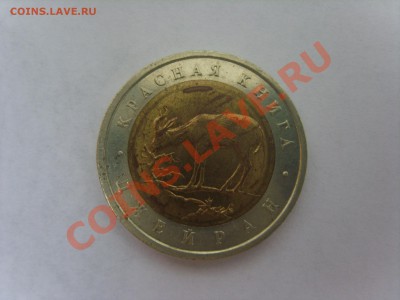 К.книга. Джейран.1994г.до 02.04.12. до 22.00 - S8301944.JPG