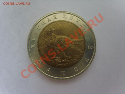 К.книга. Сапсан.1994г.до 02.04.12. до 22.00 - S8301950.JPG