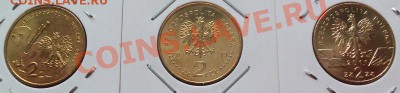 Польша 2 злотых-3шт №2 до 03.04.12 в 22.00 - 101_1398