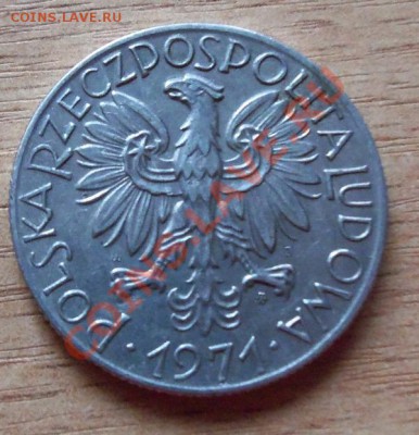 Польша 5 зл-1971г Рыбак не частая до 03.04.12 в 22.00 - 101_1424