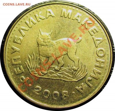 I18 Македония 5 денаров 2008 до 03.04 в 22°° - I18 5 Denar 2008_1