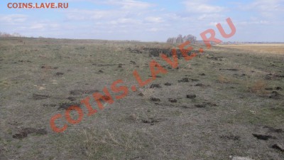 Закапываете ли вы за собой ямки? - DSC01749.JPG