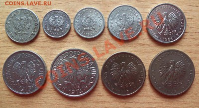 Подборка монет Польши-9шт до 04.04.12 в 22.00 - 101_1444