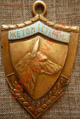 Кинологический жетон 1степени, бронза, без клейма - P1180538.JPG
