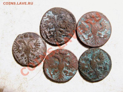 5 полушек 1731-36г Окончание: 020412 в 2130 м - IMG_2132.JPG