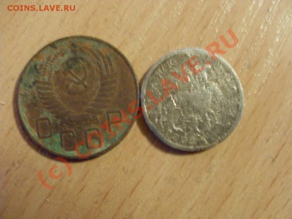 Трупы! Слабонервным не смотреть! - SDC11721.JPG