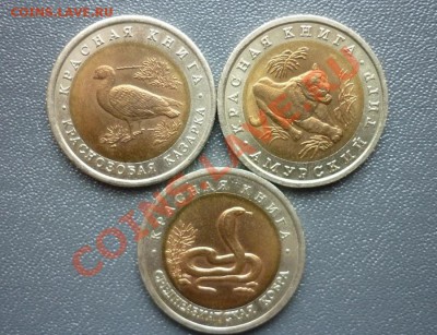 Красная книга 1992 г. 3 монеты. до 22.00 мск  01.04.12 г - P1130498.JPG