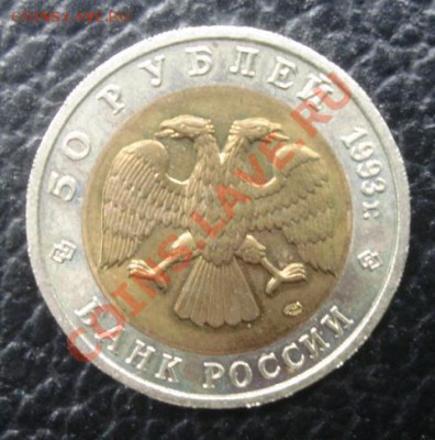 50 РУБ. 1993 Гималайский медведь до 1.04. 22-00 - Аверс2.JPG