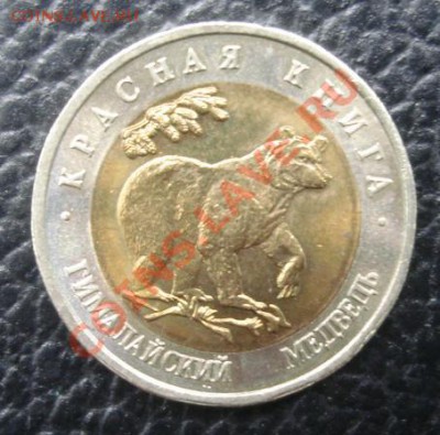 50 РУБ. 1993 Гималайский медведь до 1.04. 22-00 - Реверс2.JPG