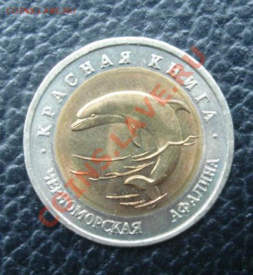50 РУБ. 1993 Черноморская афалина до 1.04. 22-00 - Реверс2.JPG