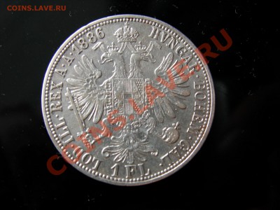 1 флорин 1886г Австрия,серебро до 3.04.12 - DSCN9593.JPG
