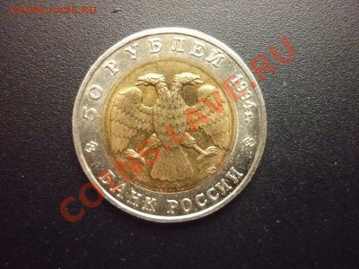К.книга 1994 г.-"САПСАН" до 22.00 мск. 01.04.2012 - P1130517.JPG
