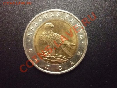 К.книга 1994 г.-"САПСАН" до 22.00 мск. 01.04.2012 - P1130516.JPG