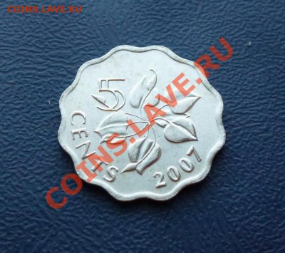 Свазиленд 5 центов 2007 UNC до 06.04.12 в 22-00 - Сваз 1
