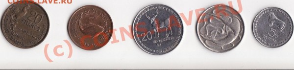 монеты с изображением животных - животные