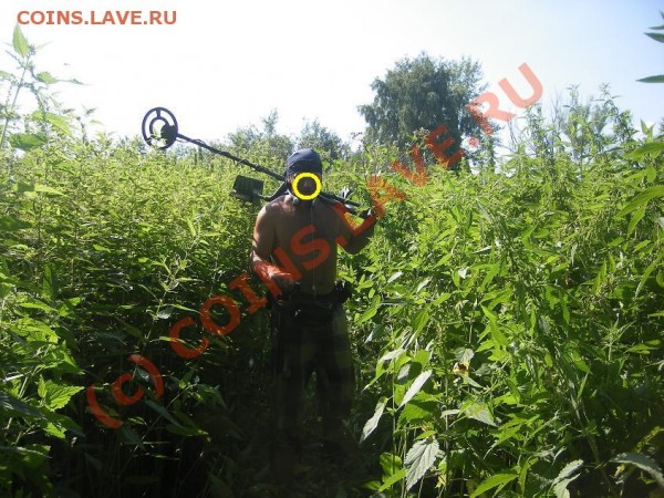 Про находки - крапивка....JPG