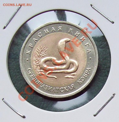 Комплект "Красная Книга" 1992 г. до 7.04.2012 22.00 мск - 100_3235