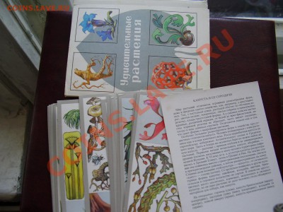 ОТКРЫТКИ наборами и не только. - P3270542.JPG