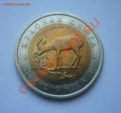 К.книга 1994 г.-"ДЖЕЙРАН" до 22.00мск  до 06.04.2012г - P1130635.JPG