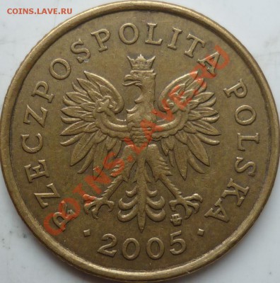 5 грошей Польша 2005г. ! - P1080237.JPG