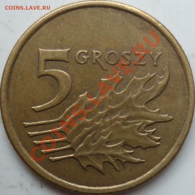 5 грошей Польша 2005г. ! - P1080238.JPG