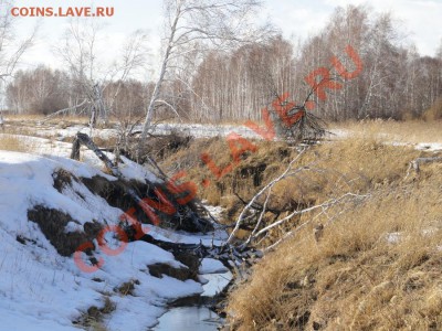 ФОТО - просто фото. Те что получились удачными. - DSC07540.JPG