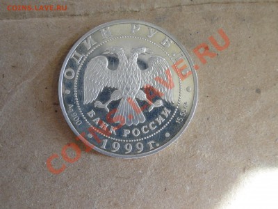 Кавказская гадюка 1999г серебро оценка - DSC08441.JPG