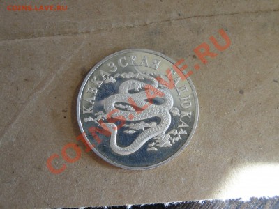 Кавказская гадюка 1999г серебро оценка - DSC08440.JPG
