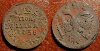 Денга и Полушка 1738 г. (Пернатые)-Ваши прогнозы - полушка 1738