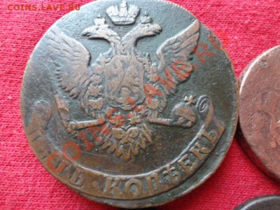 Монеты Елизаветы Петровны - DSC01244.JPG