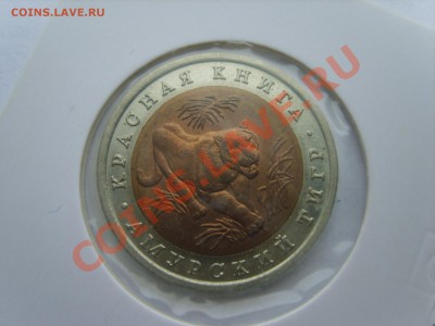 Кр.книга. Тигр 1992г. до 10.04.12 до 22.00 - S8302087.JPG