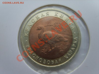 Кр.книга. Казарка. 1992г. до 10.04.12 до 22.00 - S8302091.JPG