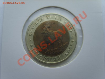 Кр.Книга. Козел 1991г. до 10.04.12 до 22.00 - S8302095.JPG