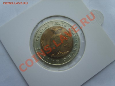 Кр.Книга. Филин 1991г. до 10.04.12 до 22.00 - S8302097.JPG