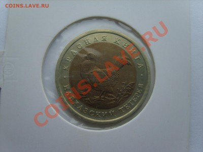Кр.Книга. Тетерев 1993г. до 10.04.12 до 22.00 - S8302099.JPG