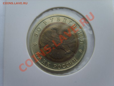 Кр.Книга. Тетерев 1993г. до 10.04.12 до 22.00 - S8302100.JPG