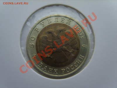 Кр.Книга. Медведь. 1993г. до 10.04.12 до 22.00 - S8302102.JPG