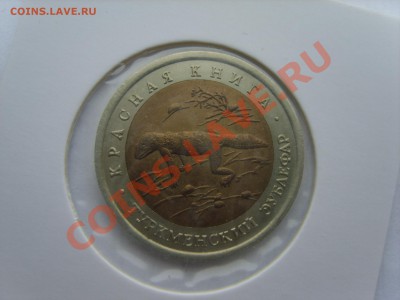 Кр.Книга. Зублефар. 1993г. до 10.04.12 до 22.00 - S8302103.JPG
