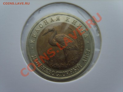 Кр.Книга. Аист. 1993г. до 10.04.12 до 22.00 - S8302105.JPG