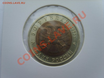 Кр.Книга. Аист. 1993г. до 10.04.12 до 22.00 - S8302106.JPG