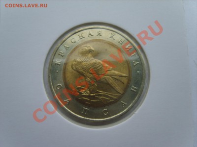 Кр.Книга. Сапсан.1994г. до 10.04.12 до 22.00 - S8302109.JPG