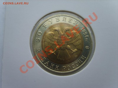 Кр.Книга. Сапсан.1994г. до 10.04.12 до 22.00 - S8302110.JPG