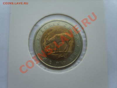 Кр.Книга. Джейран.1994г. до 10.04.12 до 22.00 - S8302111.JPG