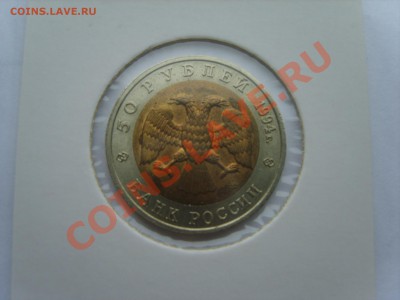Кр.Книга. Джейран.1994г. до 10.04.12 до 22.00 - S8302112.JPG