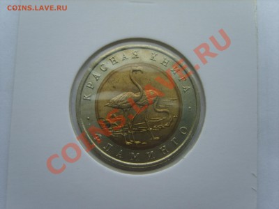 Кр.Книга. Фламинго.1994г. до 10.04.12 до 22.00 - S8302113.JPG