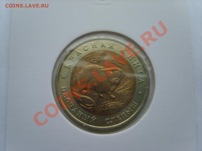 Кр.Книга. Слепыш.1994г. до 10.04.12 до 22.00 - S8302117.JPG