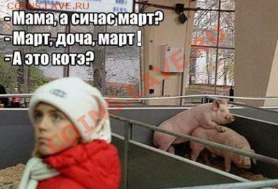 Вопросом на вопрос! - 226963